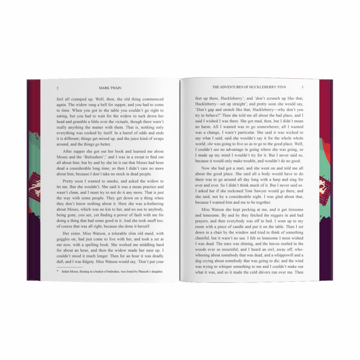 The Adventures of Huckleberry Finn (Sprayed Edges)